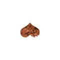 ORGANIC MATCHA ROOIBOS POWDER - Black Momma Tea & Cafe